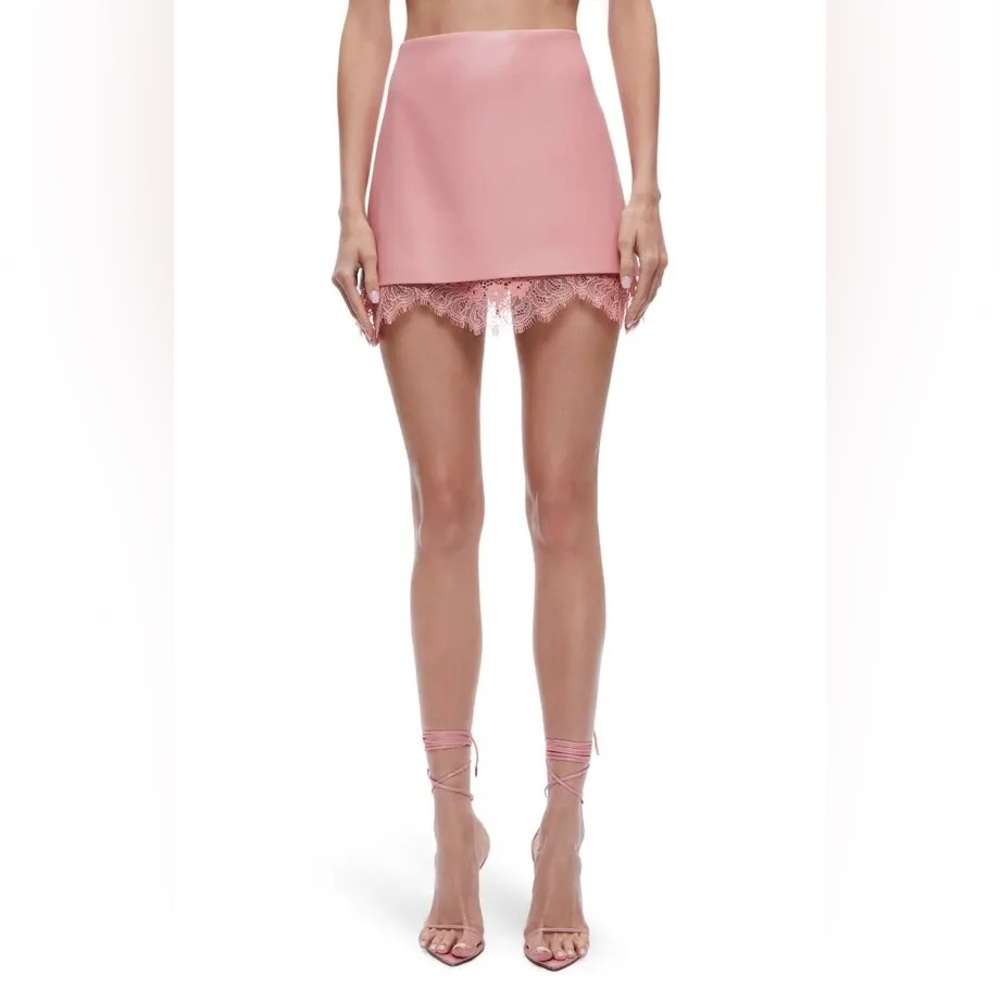 Alice and Olivia skirt